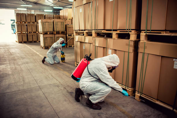 Best Mosquito Control Services  in Tubac, AZ
