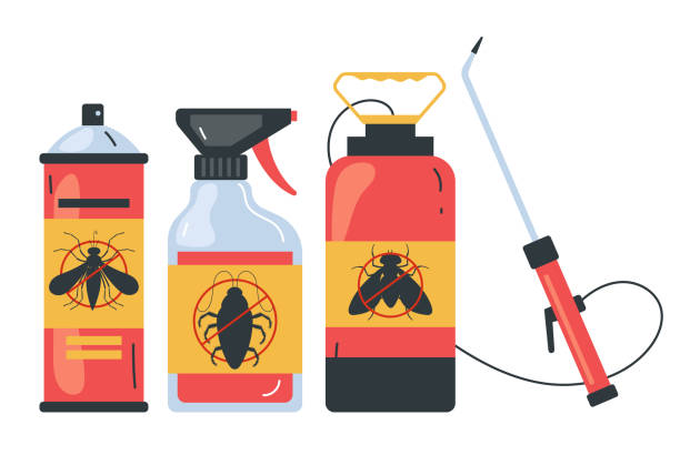 Professional Pest Control in Tubac, AZ
