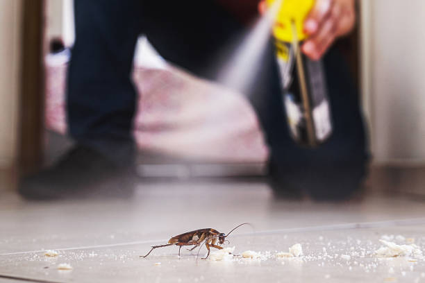 Best Commercial Pest Control Services  in Tubac, AZ
