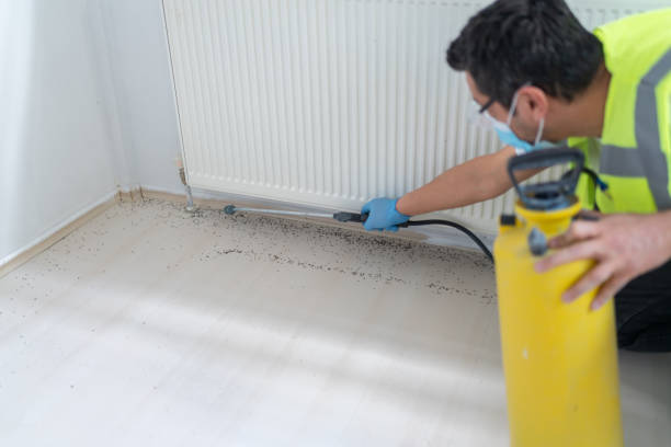 Best Pest Inspection Near Me  in Tubac, AZ